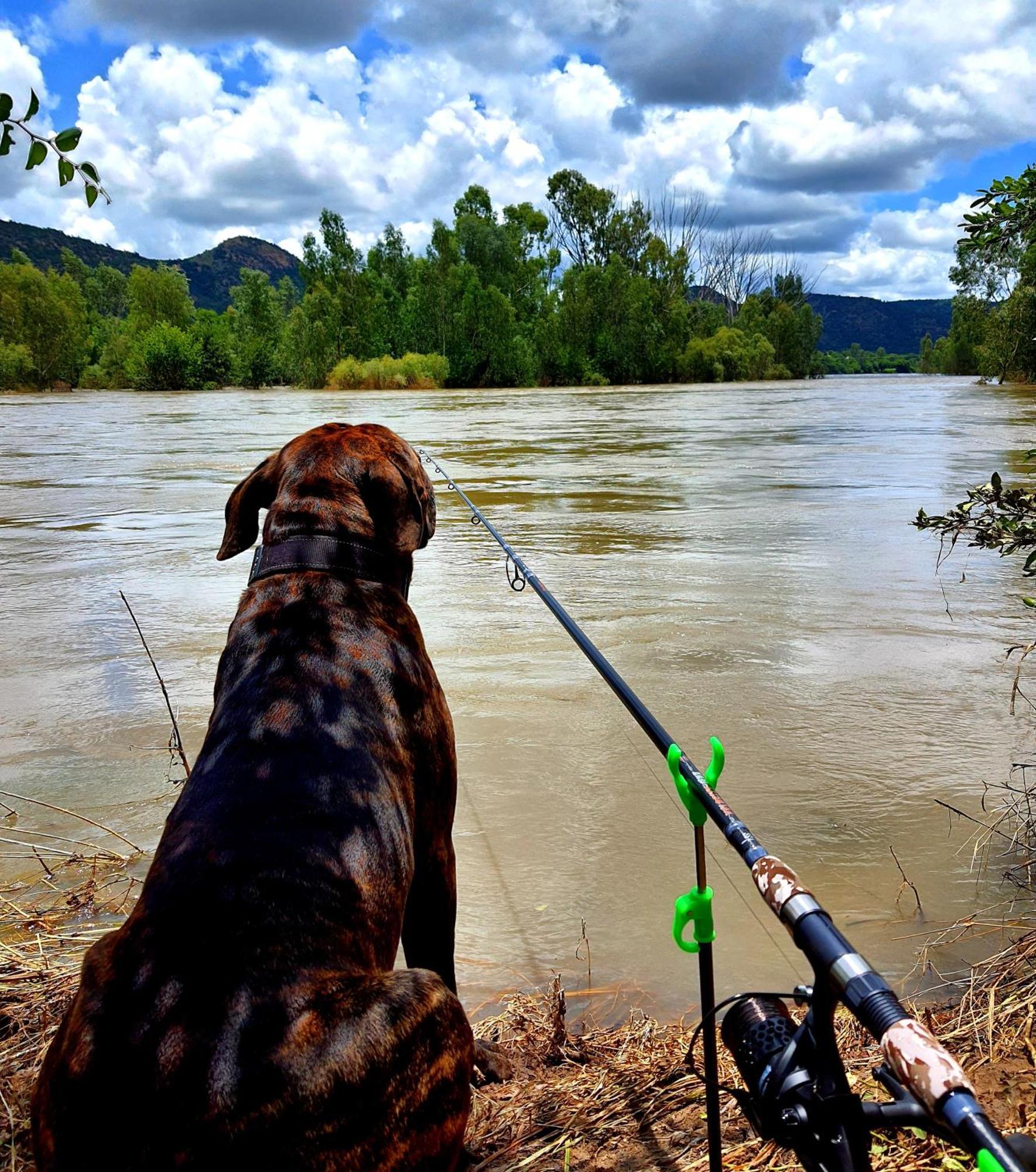 Oudewerf Fly Fishing On Vaal Vredefort